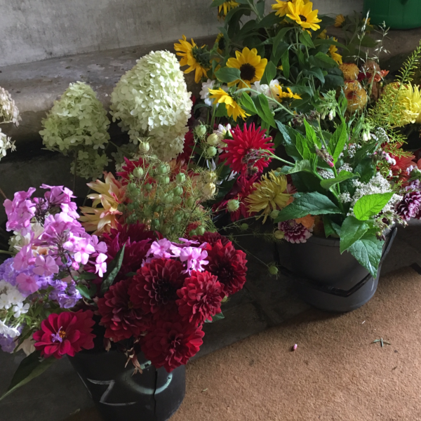 Buckets of flowers